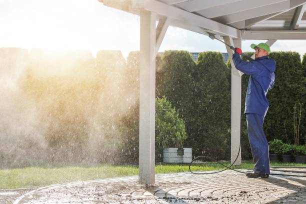 Best Pre-Holiday Cleaning  in Campbell, MO